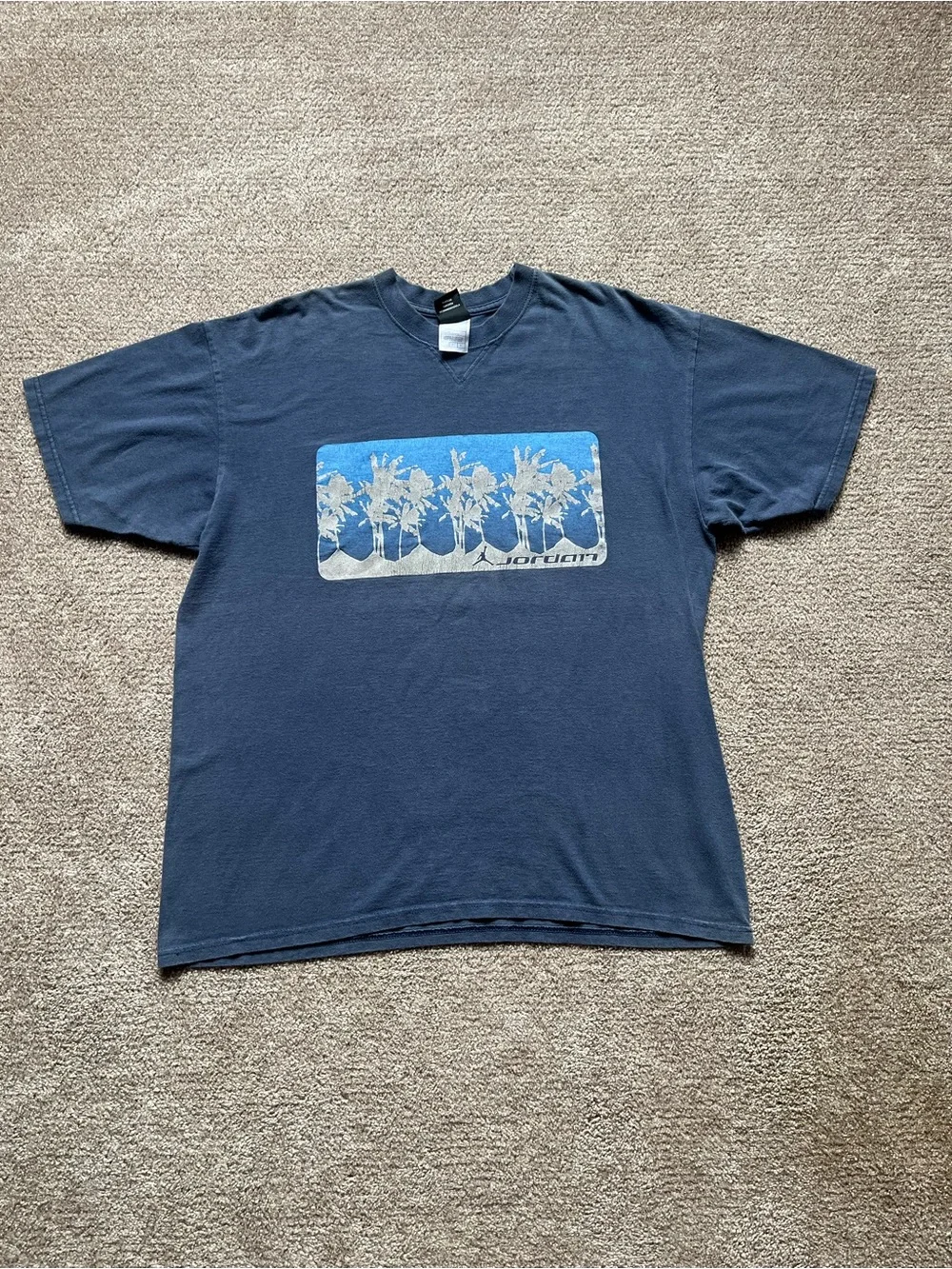 VTG 00’s / Y2K Nike Air Jordan Palm Tree Puff Print Blue Graphic Tee